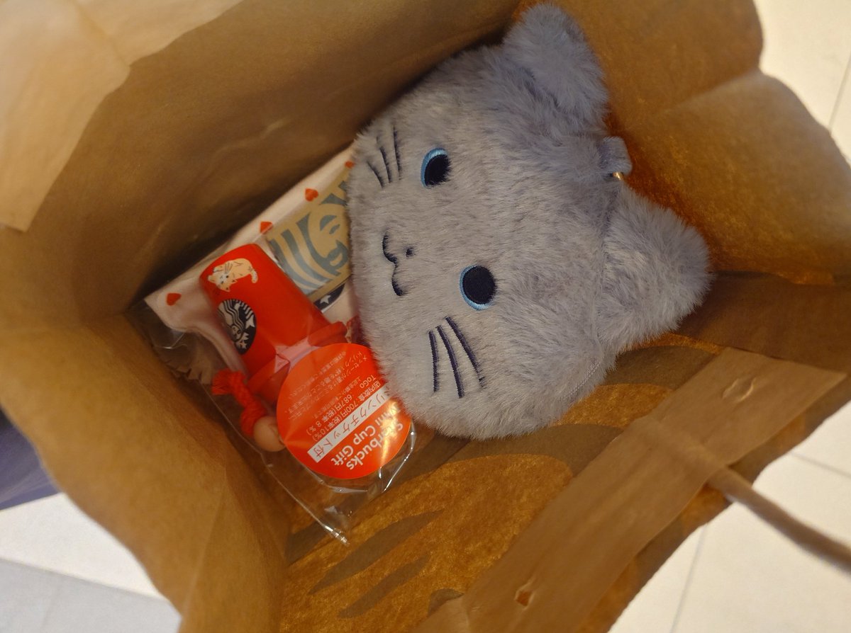 病院行かないとだったからもしかしてないかなと思ったけどラメのタンブラーと猫の買えた😻