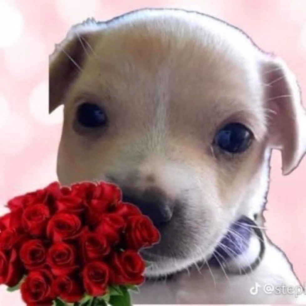 룽즈ㅣ tweet media