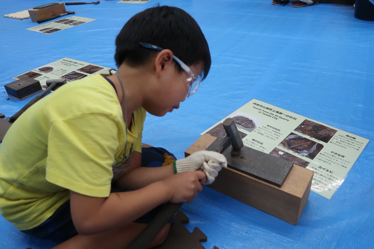 兵庫県立人と自然の博物館 tweet media