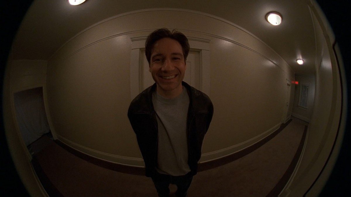 cowboymulder's tweet image. total genius and some doofus