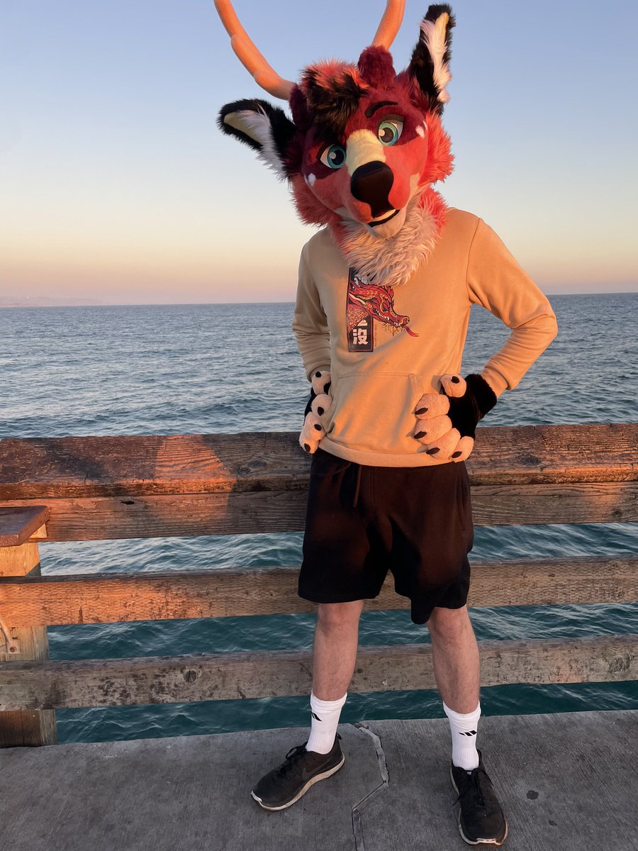 Dayglow 🔜 LVFC tweet media