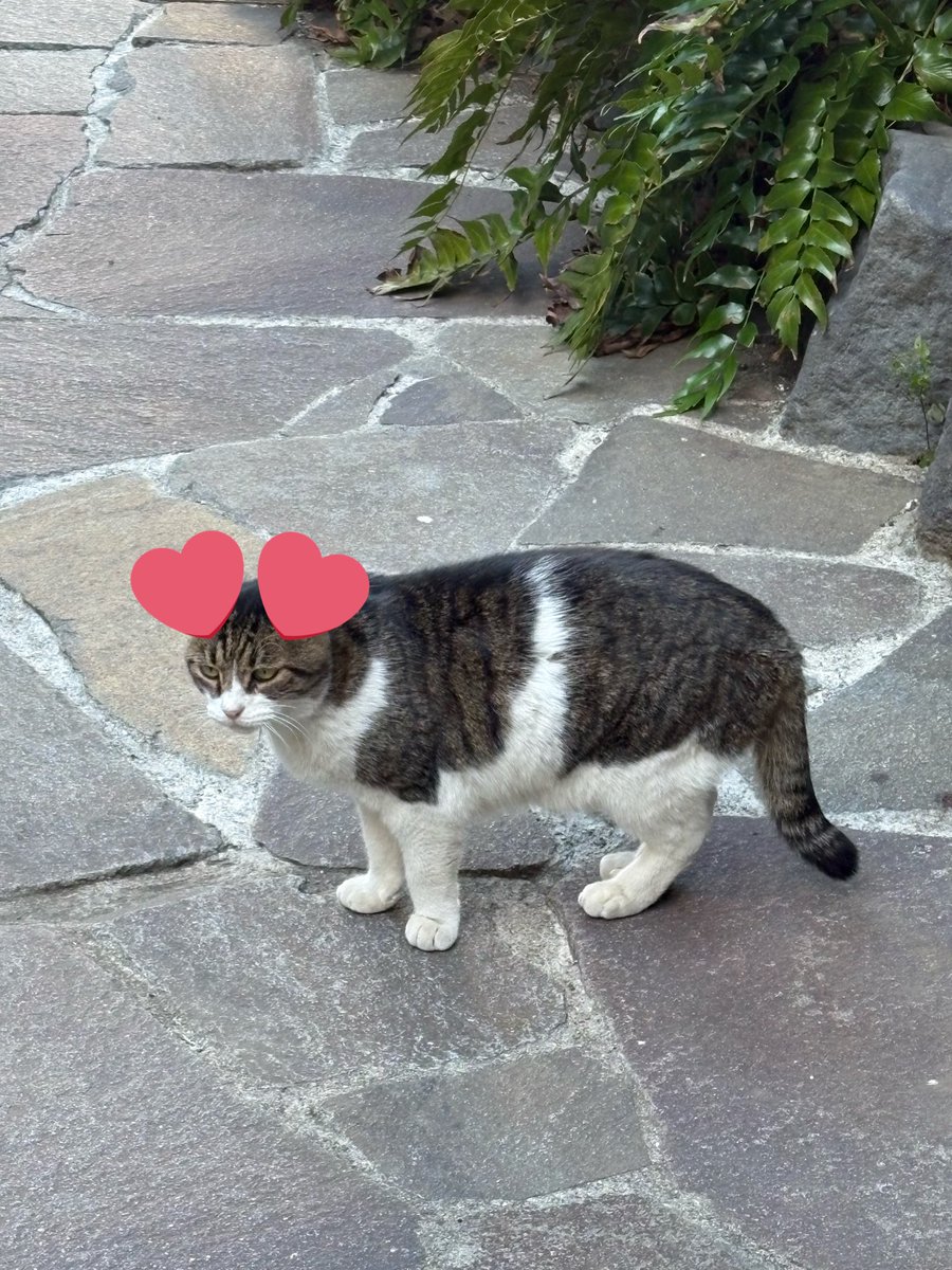 クマじいさん (@3UX7LKEdlvRVTTK) / Posts / X