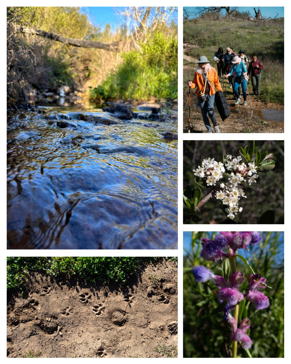 Santa Monica Mt Fund tweet media