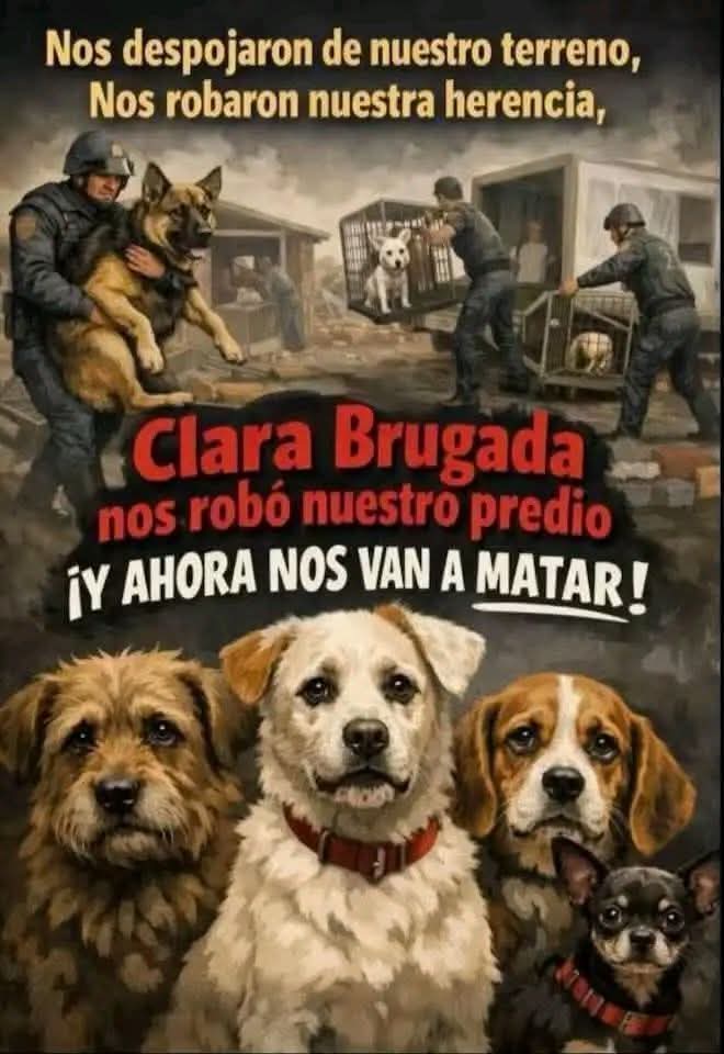 <a href="/FundacionToby/">Fundación Toby</a> <a href="/Ref_Franciscano/">REFUGIO FRANCISCANO AC</a> <a href="/ClaraBrugadaM/">Clara Brugada Molina</a> <a href="/peta/">PETA</a> <a href="/PETA_Latino/">PETA Latino</a> el gobierno de la CDMX desalojo de su hogar a más de 1000 animalitos #Ayuda #JusticiaParaLosFranciscanitos 🇲🇽🐶🙏🐈