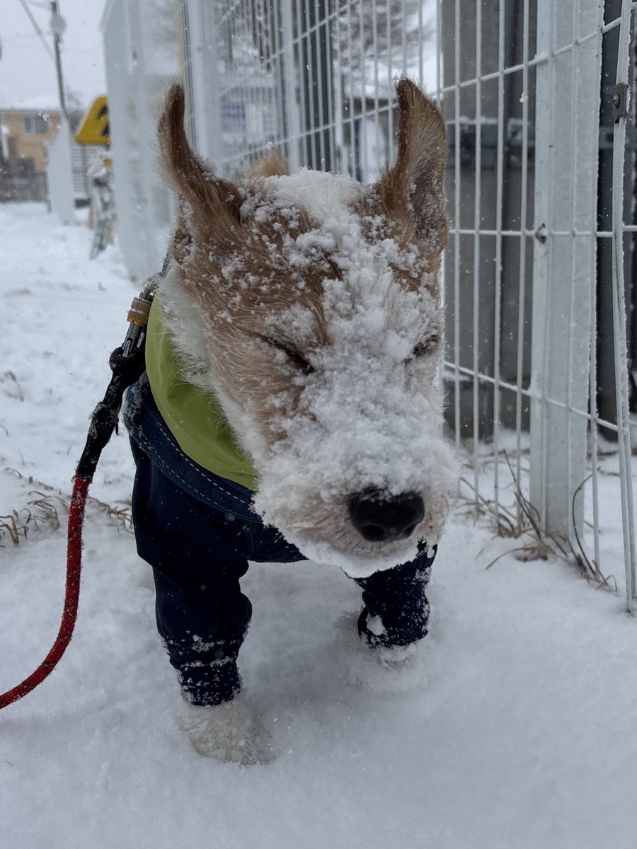 misakonambu's tweet image. ←ビフォー  ／  アフター→