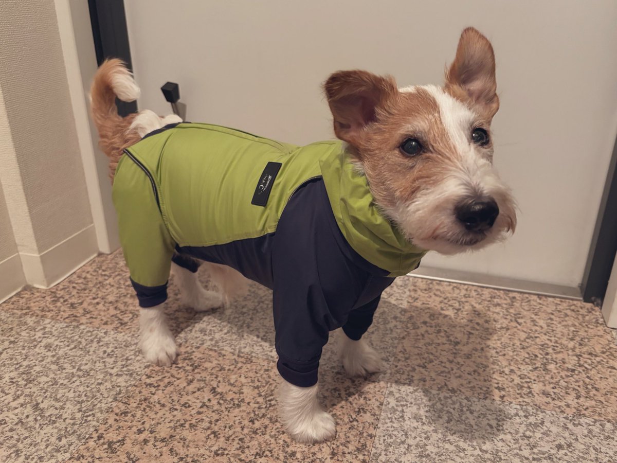 misakonambu's tweet image. ←ビフォー  ／  アフター→