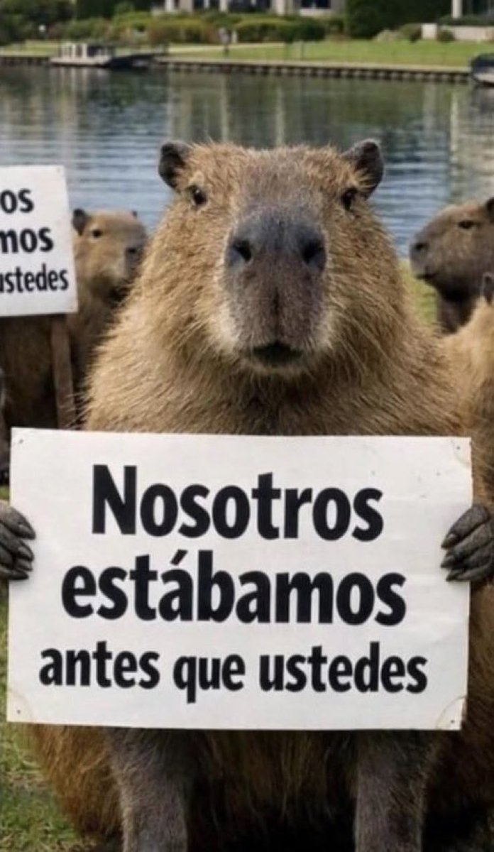 CMonteroOficial's tweet image. 