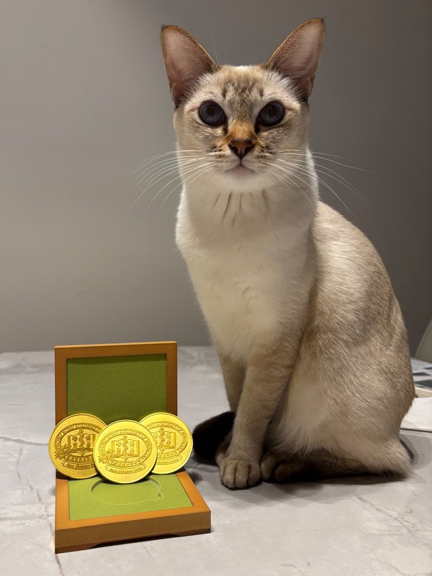 Rex Wan-Hin Hui tweet media