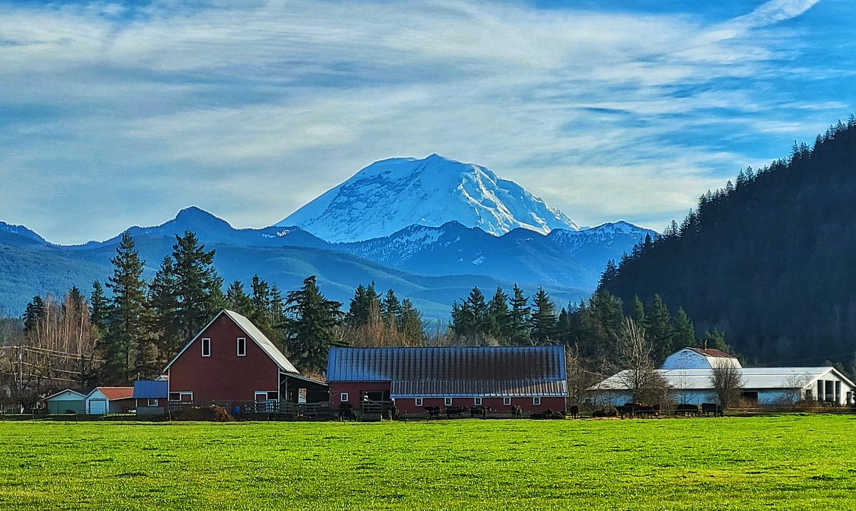 NatHeathirPhoto's tweet image. Mountain's out!!!!  #WAwx #pnw #Enumclaw #mtrainier #mttahoma #sonorthwest #isthemountainout #winterviews