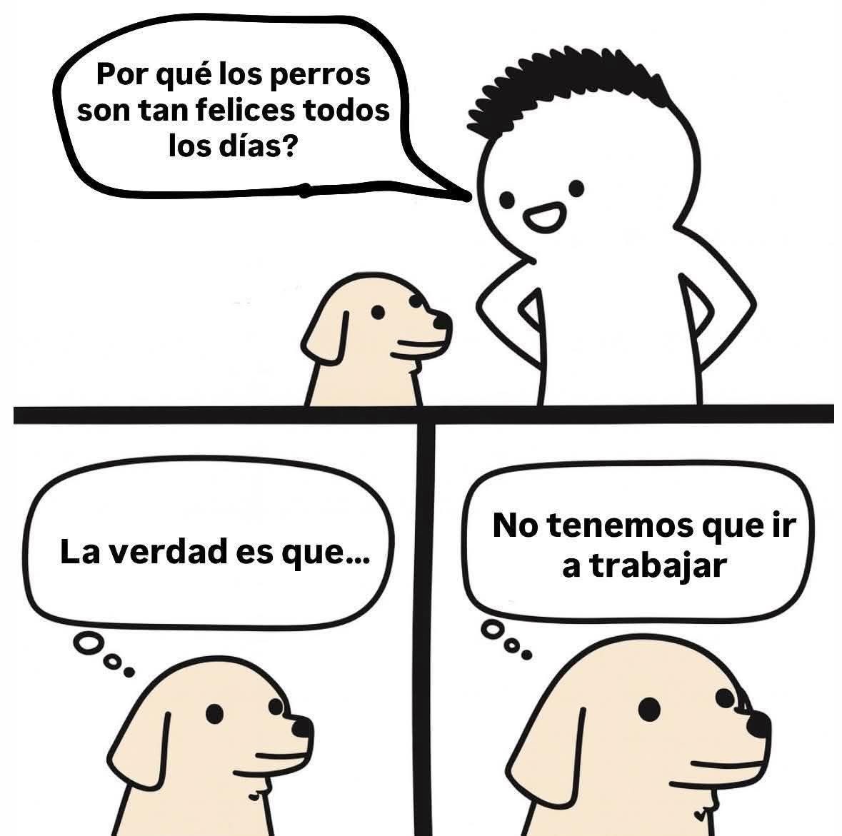 Dilo con perritos tweet media