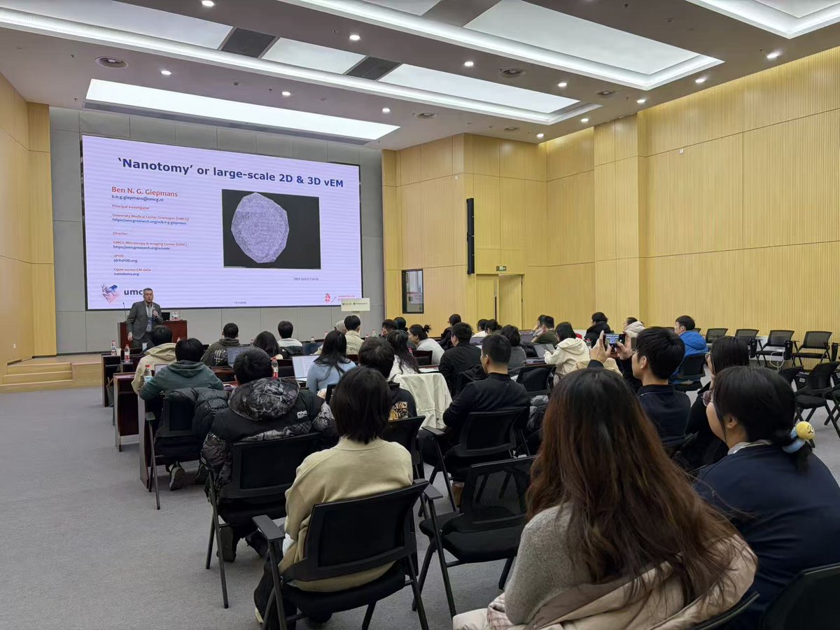 Liangyi Chen tweet media