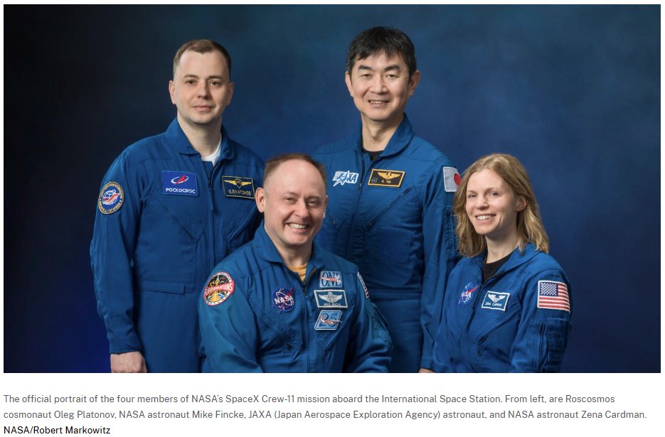 オパールの報復者 日本語 パックミス CRIMPED garmy (@garmy) / Posts / X