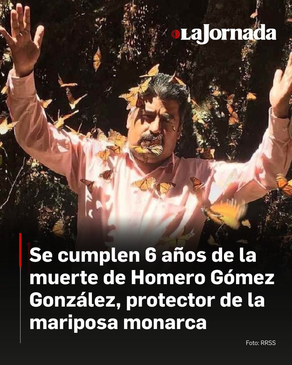 lajornadaonline's tweet image. Este martes se cumplieron seis años de la muerte del principal protector y promotor de la mariposa monarca y de su hábitat desde hace más de tres décadas, Homero Gómez González, en cuya memoria se realizó una misa,

A la fecha se desconoce su fallecimiento fue producto de una…