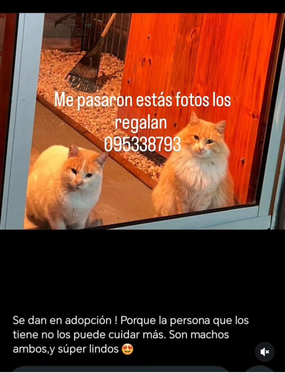 Se agradece compartir.