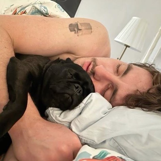 httpcnll's tweet image. 