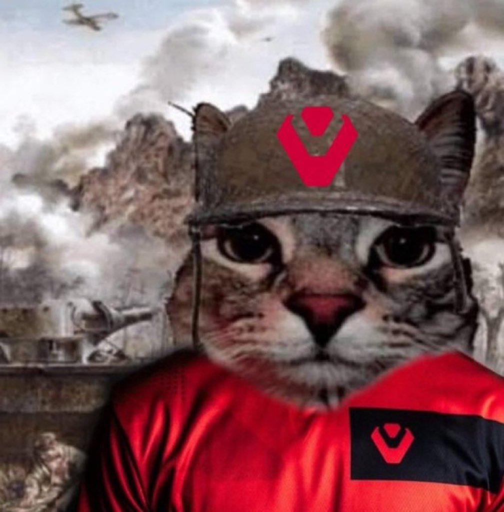 Voltic🌟 tweet media