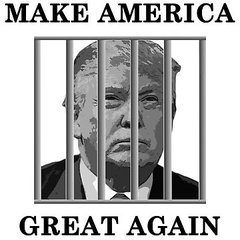 Damaan4u33's tweet image. Lock Trump up! Who agrees? ✋️