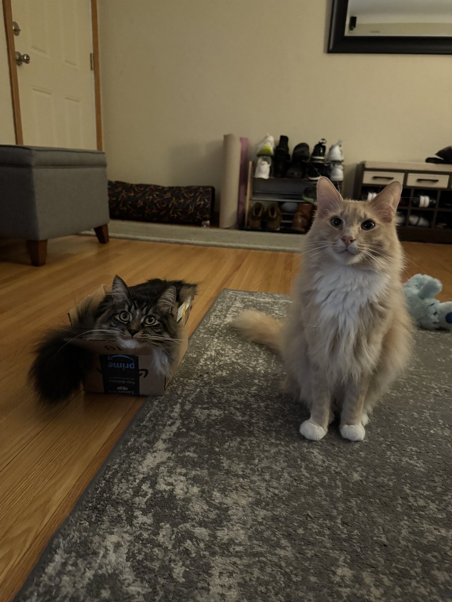 fredandsmoke's tweet image. We are so proud of our box!