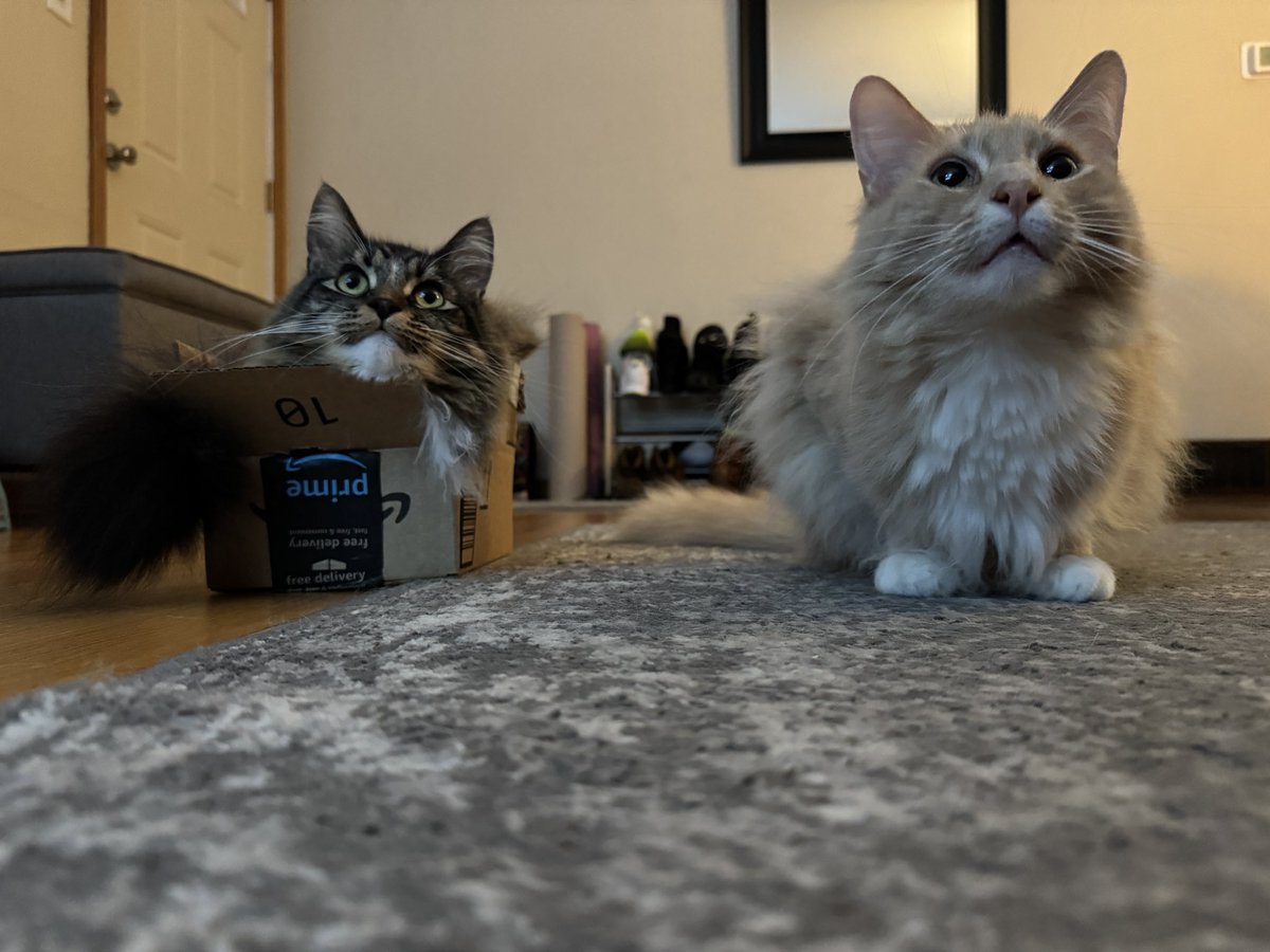 fredandsmoke's tweet image. We are so proud of our box!