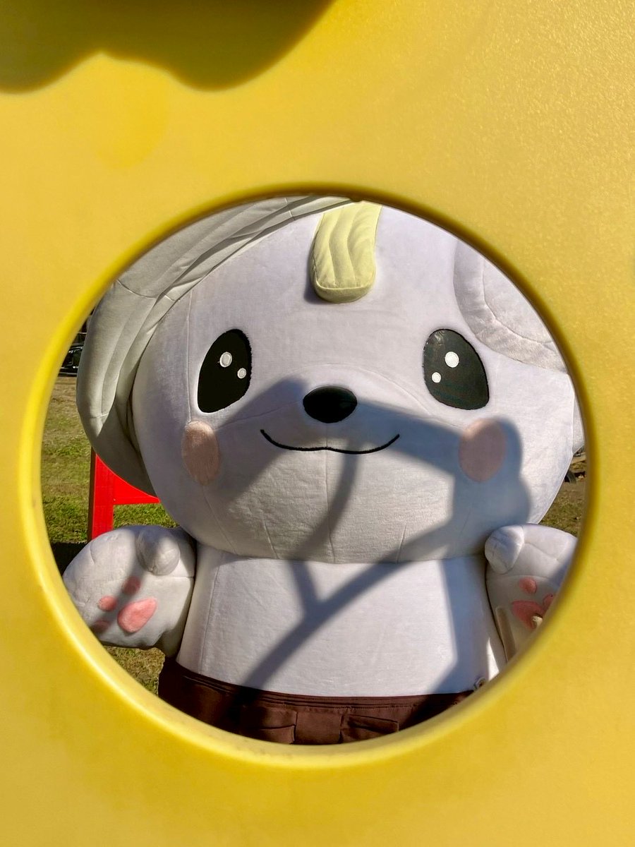 さのまるさ～ん💁 おはよう❤️💙 今日もがんばりましょう‼ #さのまる