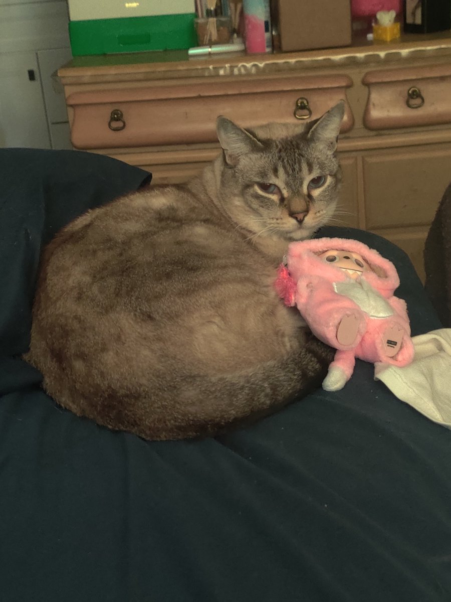 👻🎃🍭 NICO 🍬🦇🌕 tweet media