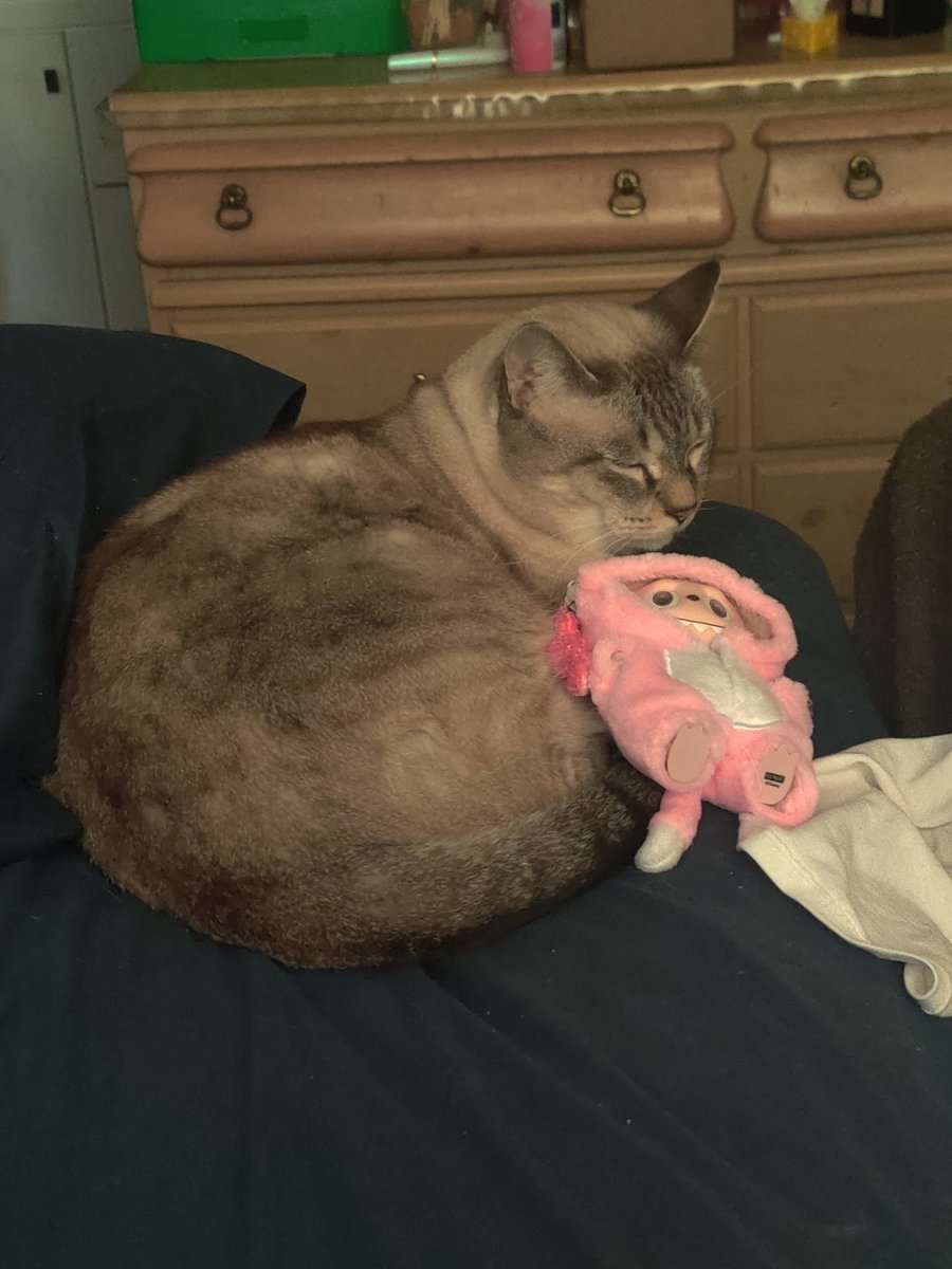 👻🎃🍭 NICO 🍬🦇🌕 tweet media