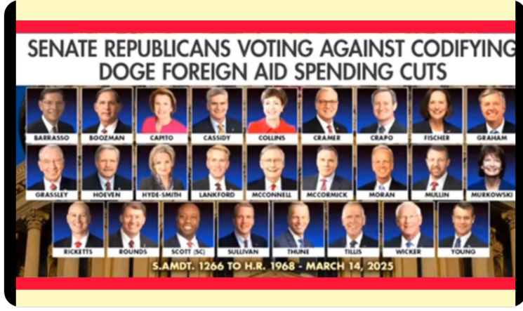 bangolure ///////////// NO CRYPTO CRAP tweet media