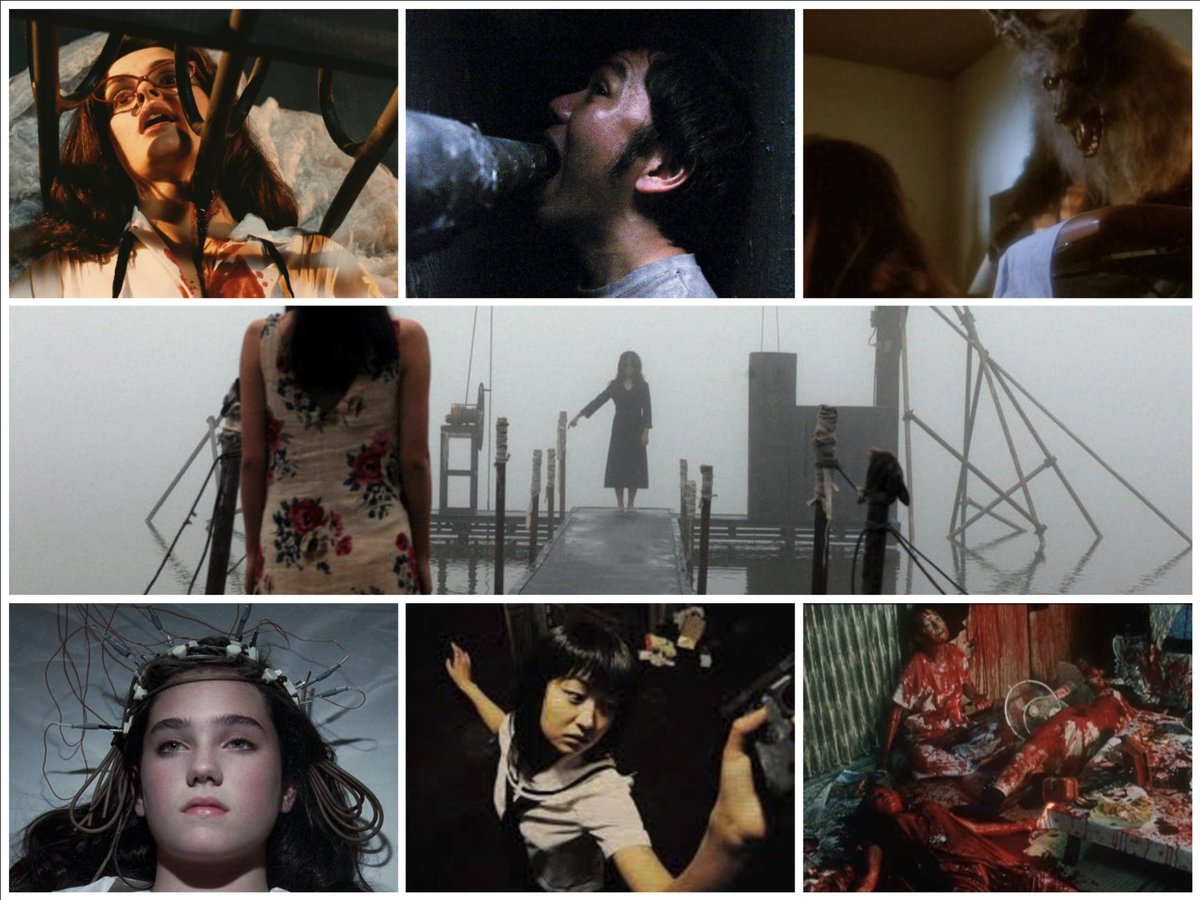 josesarmientohinojosa 🇵🇸 tweet media