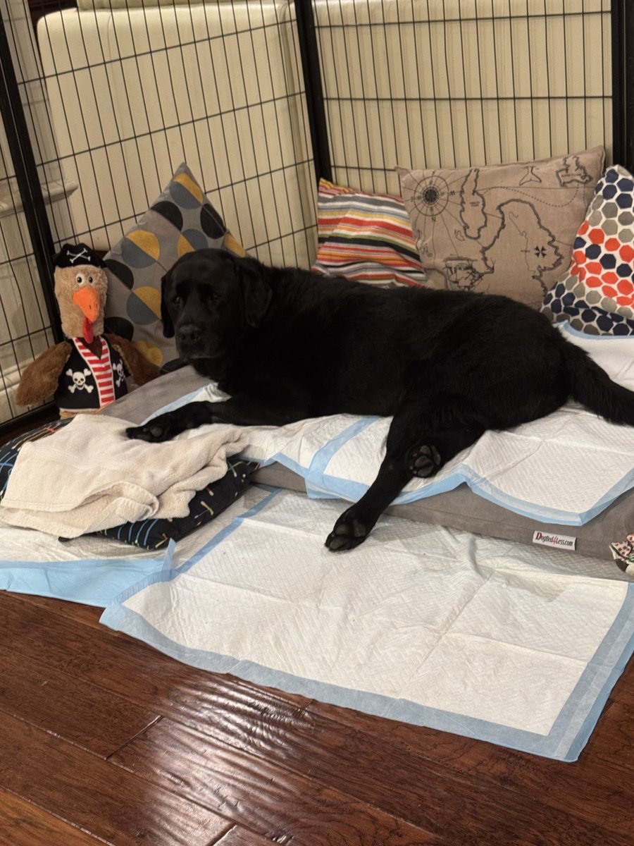 🐕‍🦺🍷Keyser Söze🍷🐕‍🦺 🇵🇸 tweet media