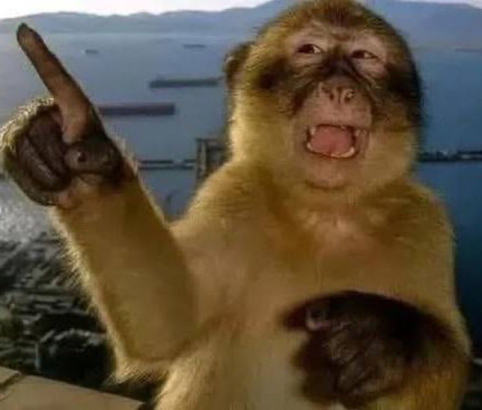 Pedi umas pizzas e quando o entregador me viu, ele disse "É o menino que come muito no rodízio"
Acho que tô na lista negra de lá