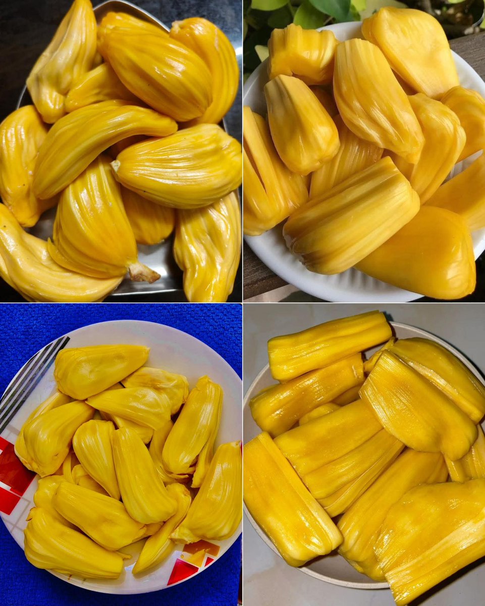 PDas_odisha's tweet photo. Jackfruit is one of the traditional fruit that enhances the immunity in body .In summer it keeps the greatest value in rural area .
#FavouriteFood
#odisha https://t.co/pHYmNZsIx6