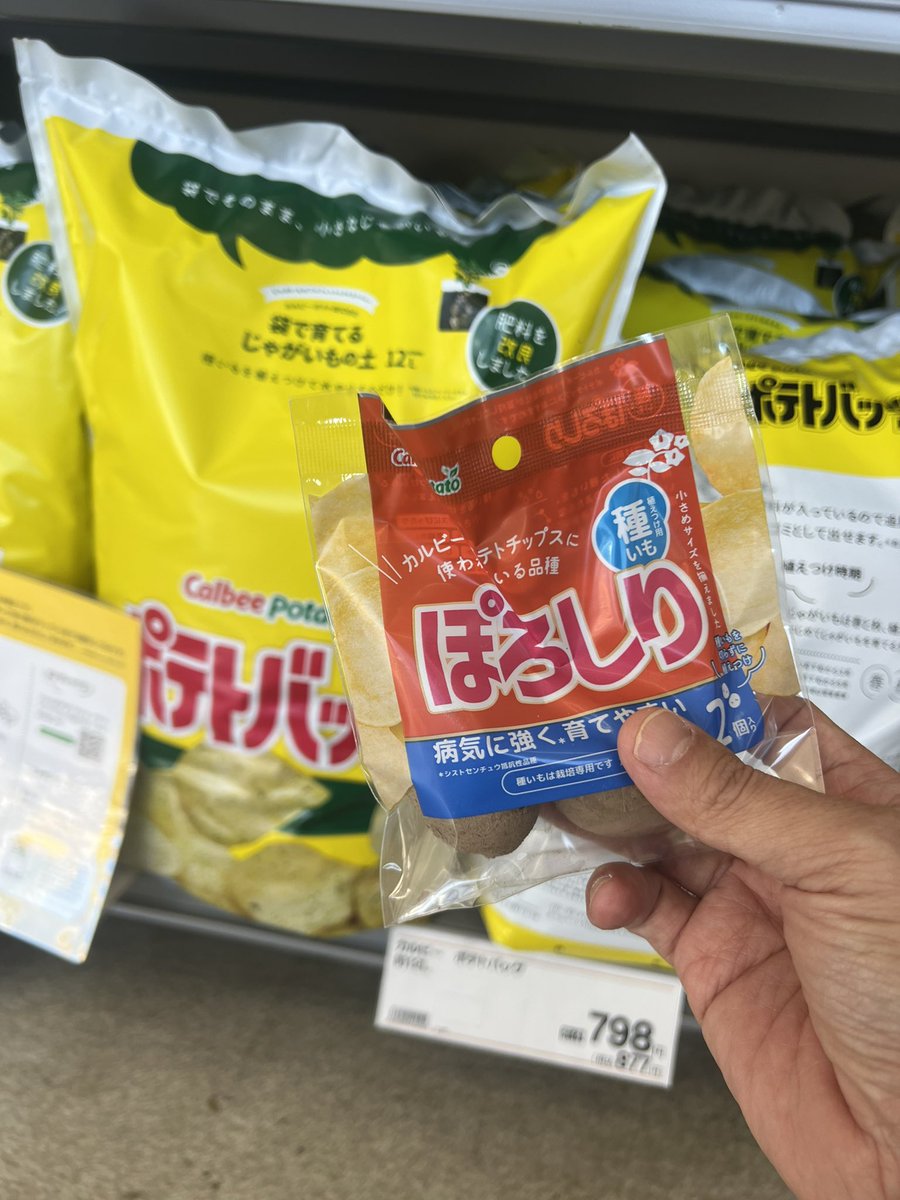 植物工場 de ぽろしり‥は、撃沈
2年目の今年は、ぬかりなく！

<a href="/PROTOLEAF/">【公式】プロトリーフ</a>
<a href="/PROTOLEAF_Kano/">加能裕一郎</a> 
🥔#カノーカップ
🥔#ポテトバッグ甲子園
🥔#全国一斉ポテバ祭り
#うりぼーの家庭菜園