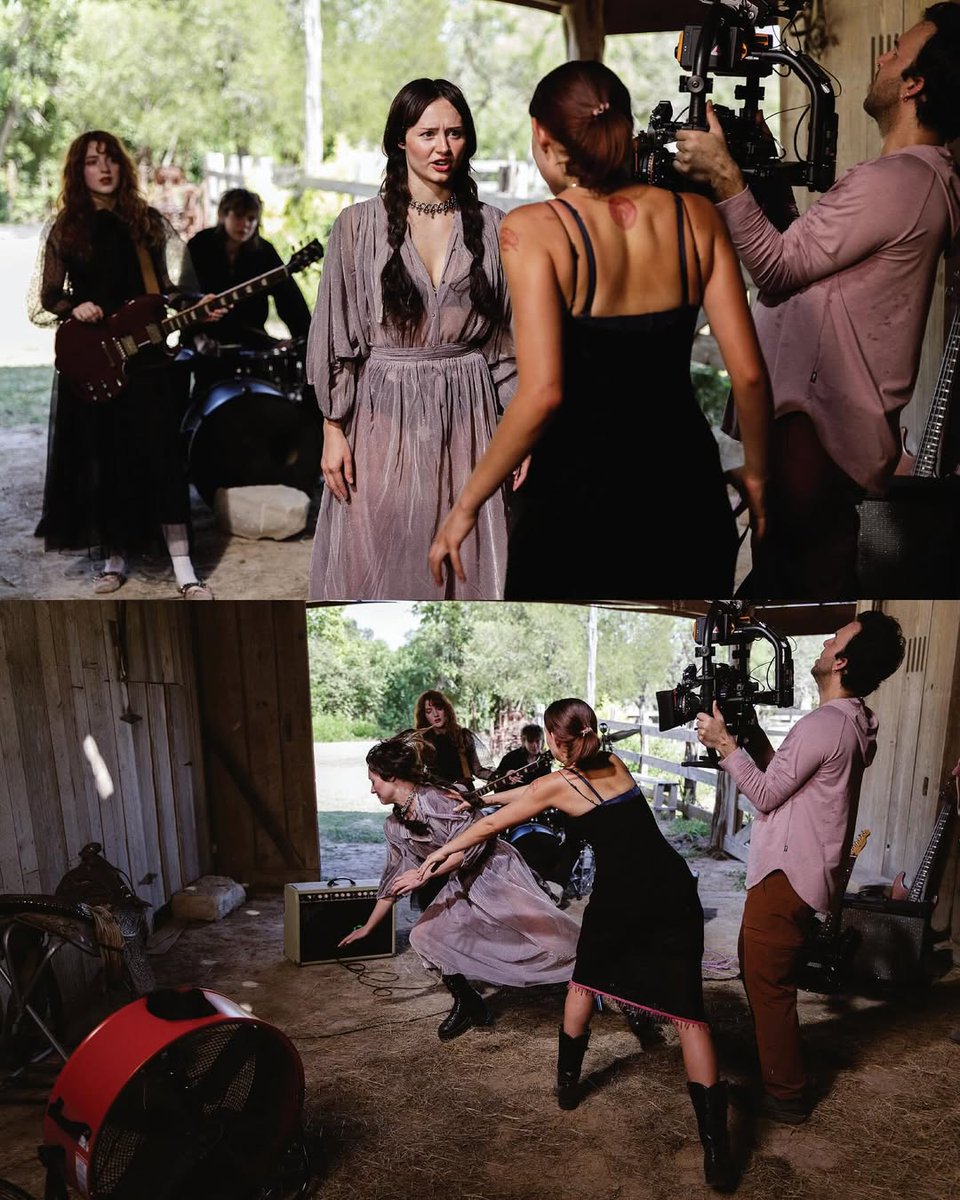 The Bear tweet media