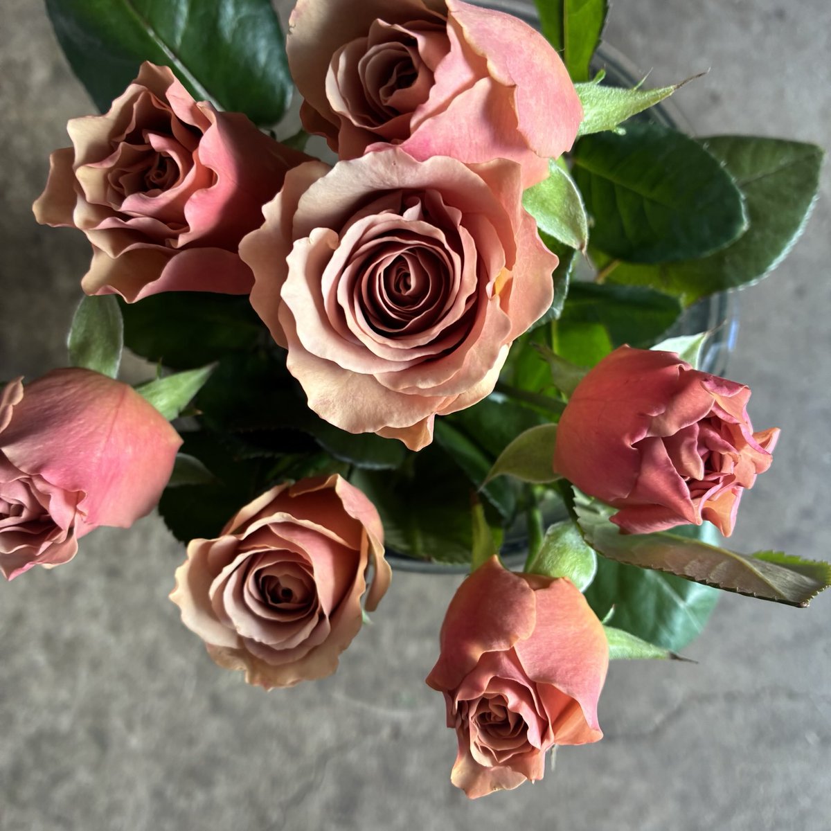 さくらんぼ Sakuranbow (@sakuranbow20) / Posts / X