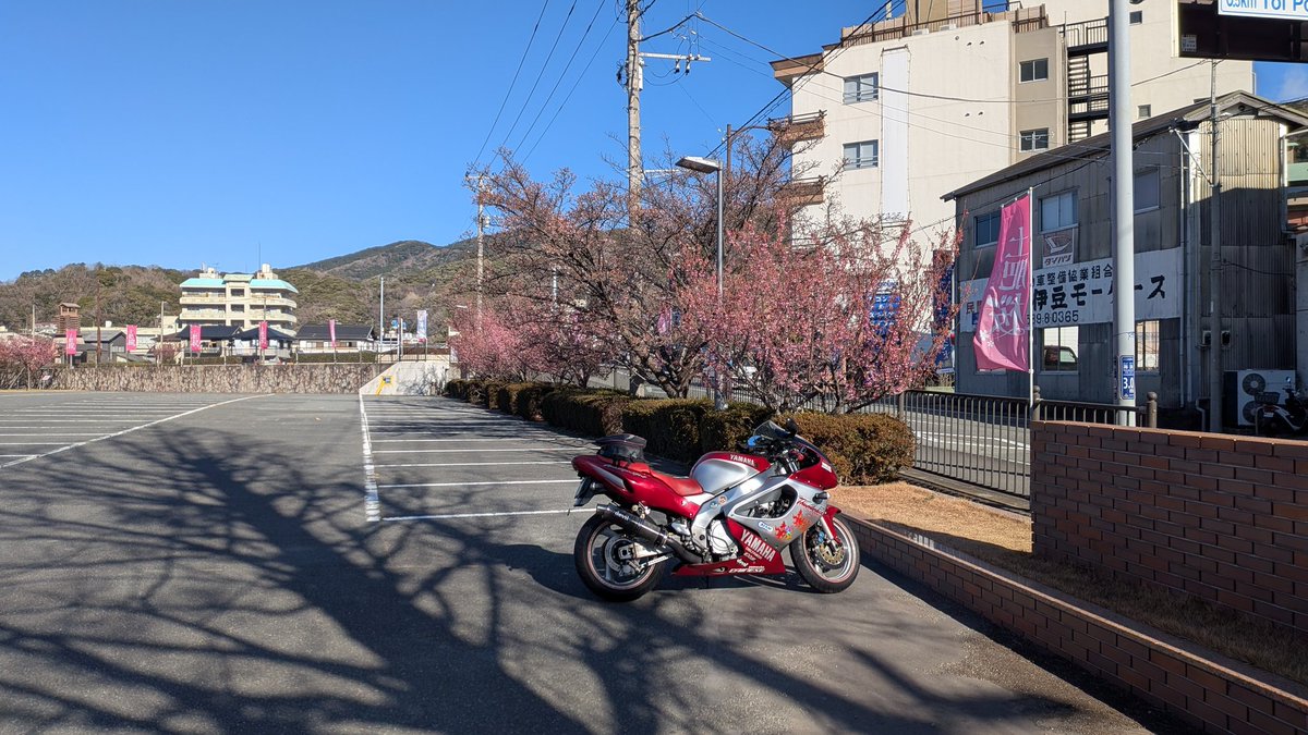 flyman_thunder_M2 tweet media