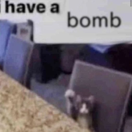 Punch Cat (@punchingcat) on Twitter photo 