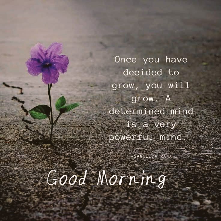 Harshal1781's tweet image. #GoodMorning 
#Wednesdayvibe 
#WednesdayThoughts