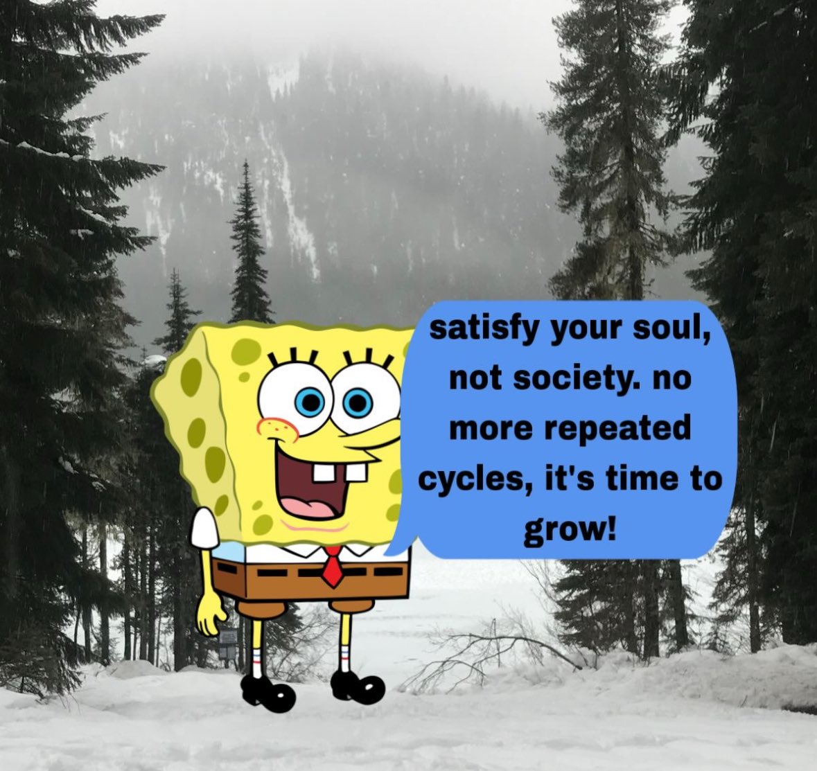 northstardoll's tweet image. 