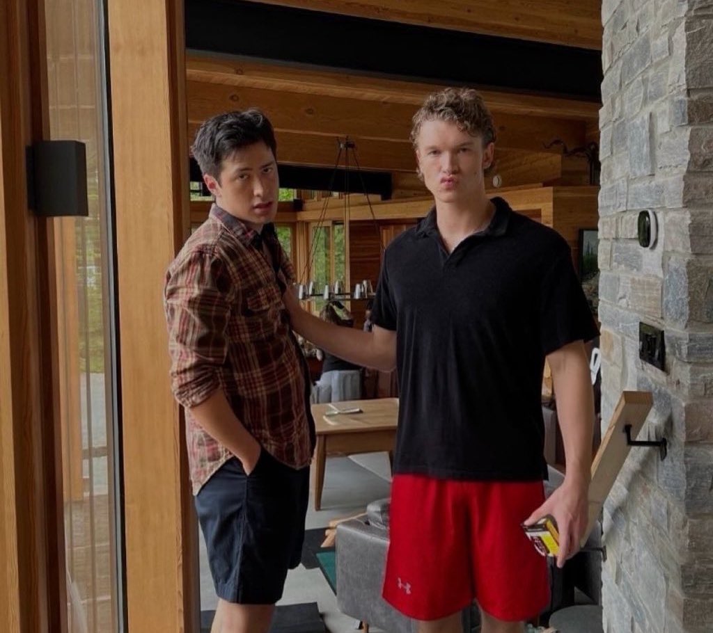 who up and thinking about domestic hollanov