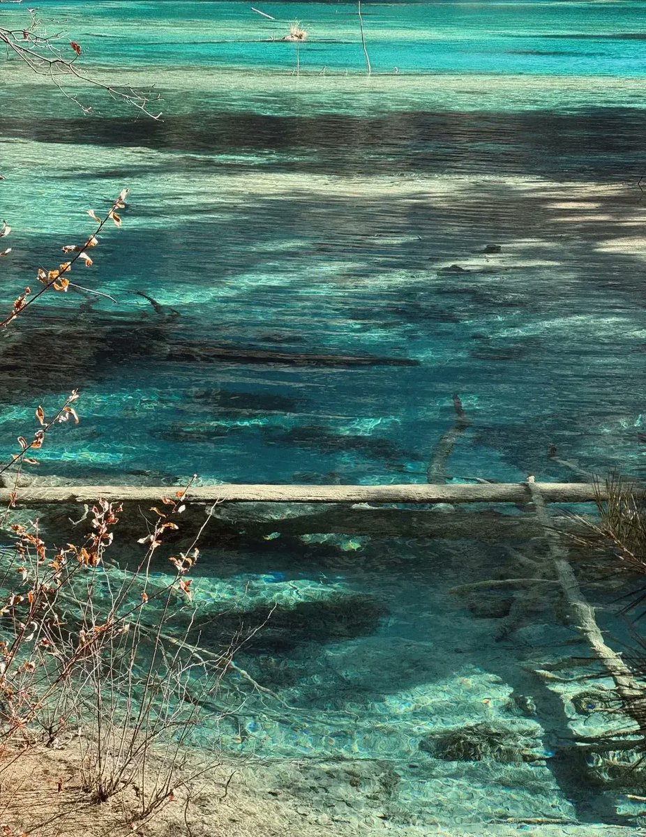 Soul_Sloop's tweet image. “焦虑是什么？
就是大脑自导自演的恐怖片。
事情没发生，你提前预演悲剧；
事情已发生，你又反复重播痛苦。”

一位心理学家通过实验证明，
我们担心的事情，
99.99%都不会发生。
另外可能发生的0.01%呢，
我们根本就无能为力，
那是老天爷的事情，
你想管也管不了。

生活就是一个见招拆招的过程。