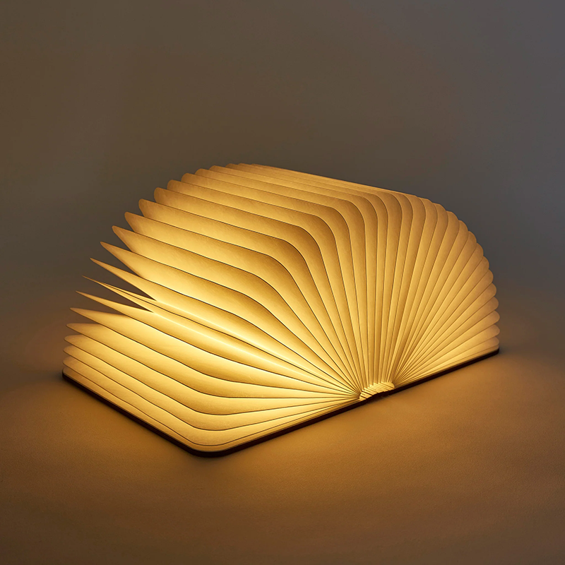 ANKERALLEO's tweet image. A book that becomes a light 📖💡
The LED book lamp folds, opens, and glows—perfect for reading, décor, and gifts.
👉 ankeral.com/led-book-lamp-…

#LEDBookLamp #BookLamp #ReadingLight #CreativeLighting #Ankeral