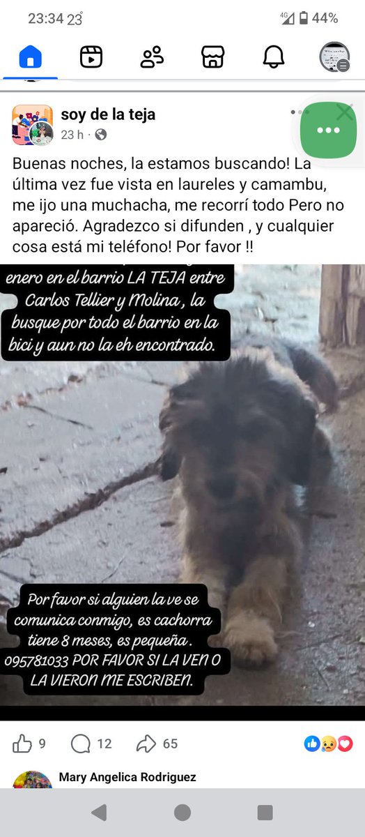 Ans (@anaalfo1000) on Twitter photo 