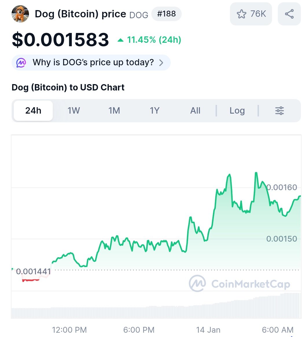$DOG is up 11% in last 24 hours.

Slowly, then all at once.
