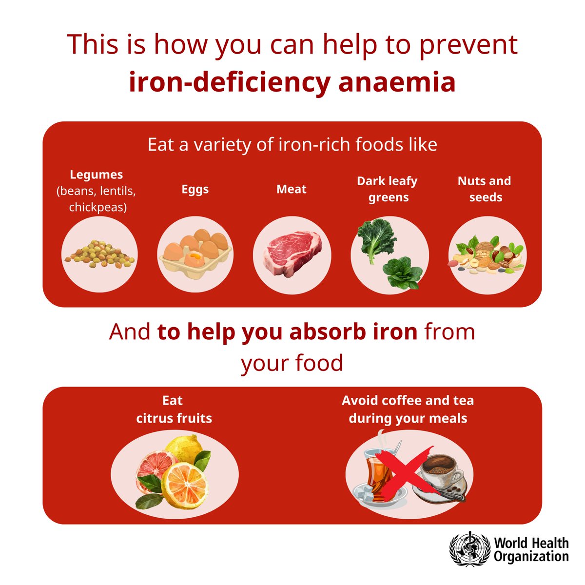 World Health Organization (WHO) tweet media