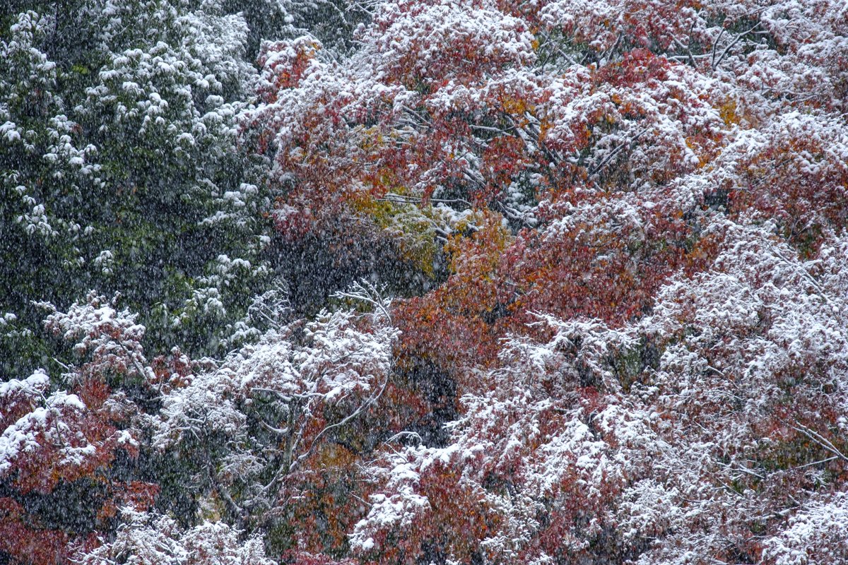 FUJIFILMXseriesJapan (@FujifilmJP_X) / Posts / X