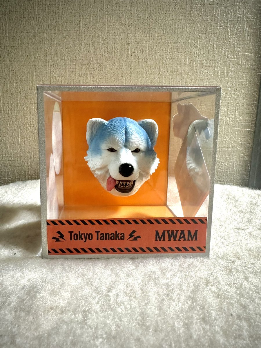 yuna ➡︎スカパラ×🐺 tweet media