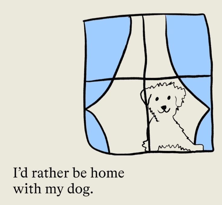 caninepoetry_'s tweet image. 