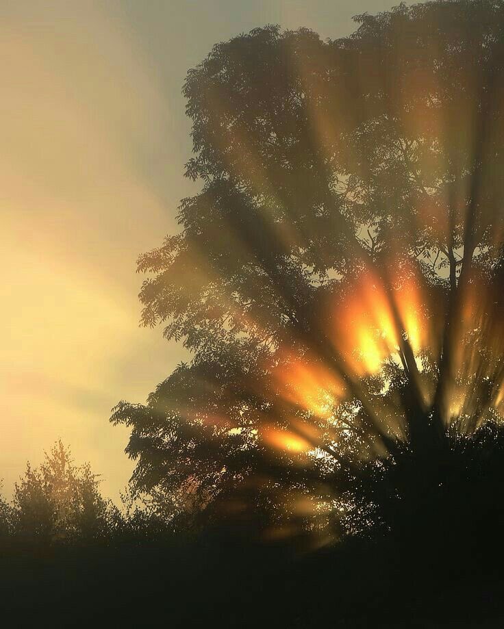 Light always finds its way