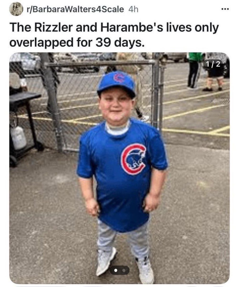 nocontextmemes's tweet image. 