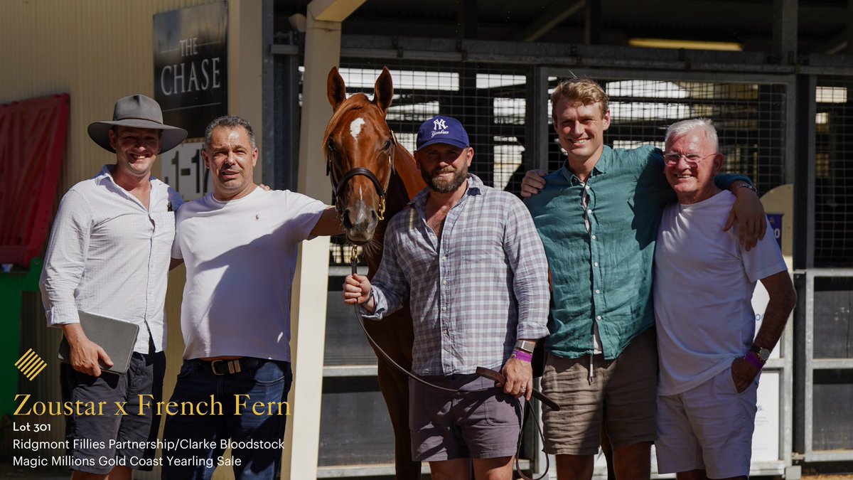 ridgmont_'s tweet photo. Two beautiful fillies purchased on Day 2 of @mmsnippets. https://t.co/NvCjF7BA0Z